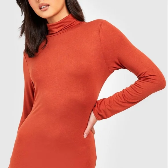 NWT Turtle Neck Long Sleeve Midi Size 14 - Picture 3 of 3